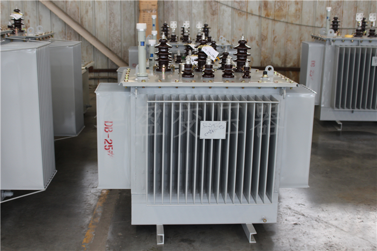 青海S20-800kVA/10kV/0.4kV变压器